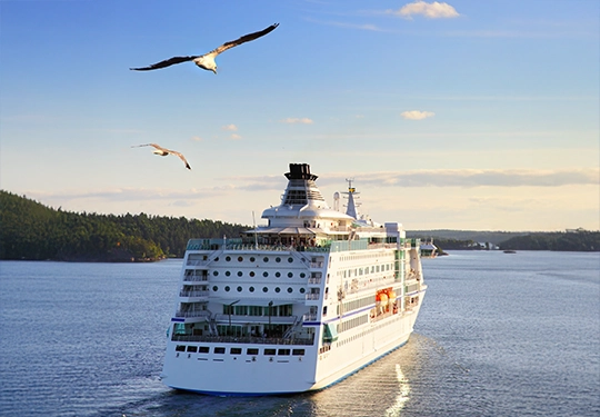  Web banner cruise second banner